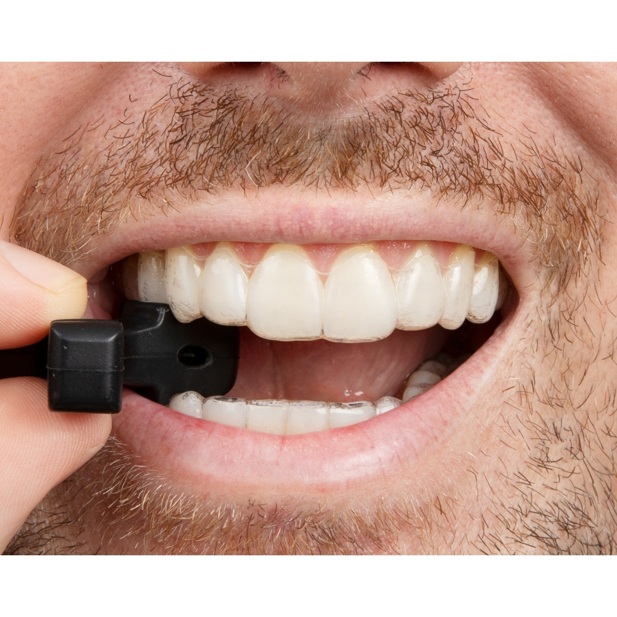 Munchies® Maintain engaged with premolar teeth